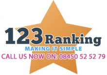 SEO Services from 123 Rankings